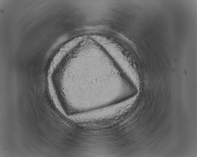 X0000067901411200605041606