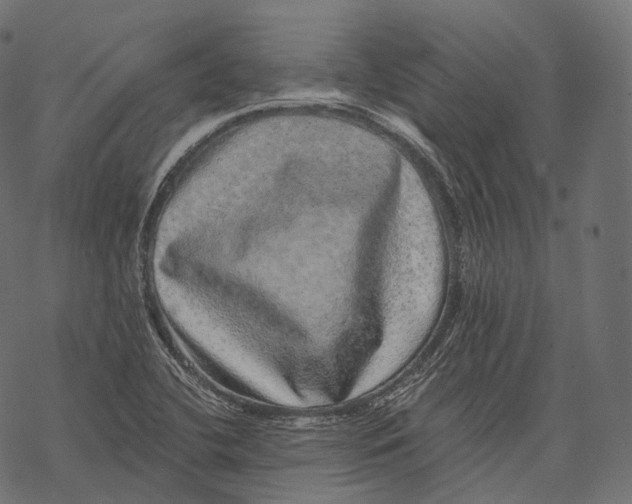 X0000067901412200605041606