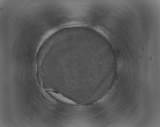 X0000067901413200605041606