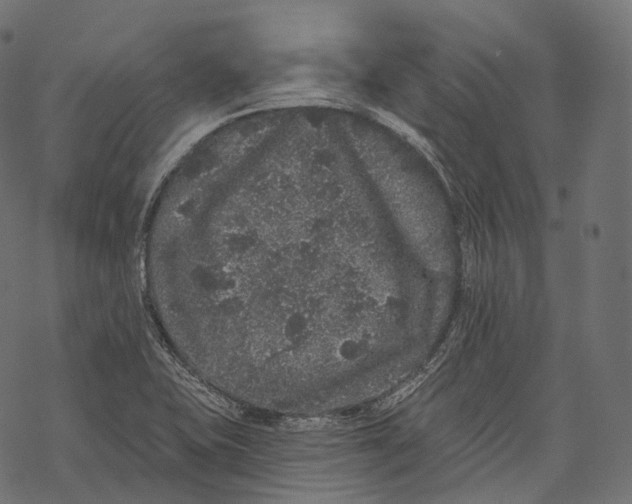 X0000067901415200605041606