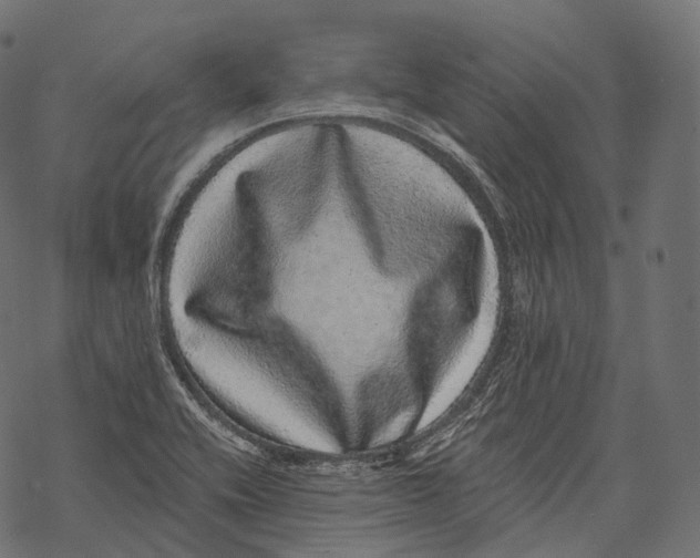 X0000067901416200605041606