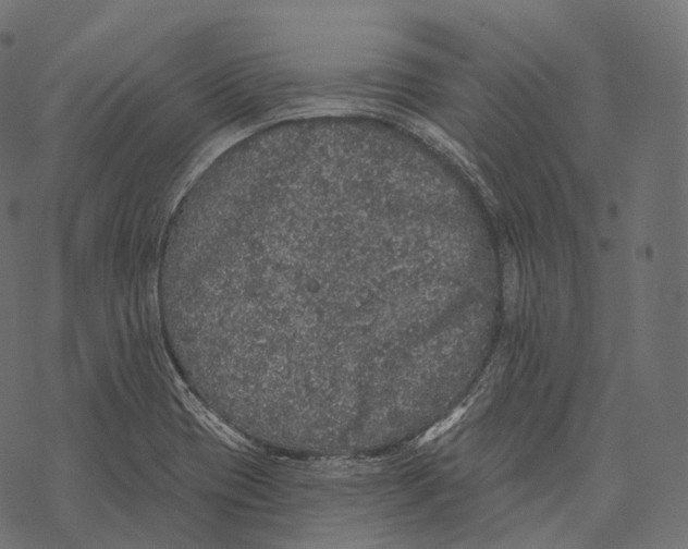 X0000067901417200605041606