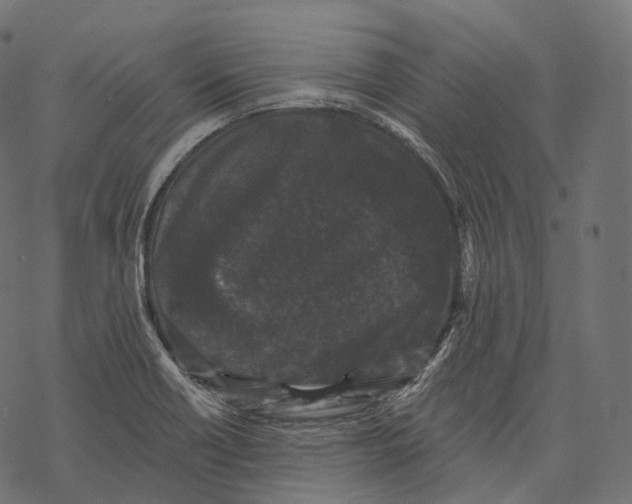 X0000067901418200605041606