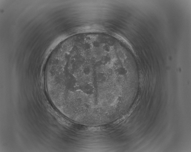 X0000067901419200605041606