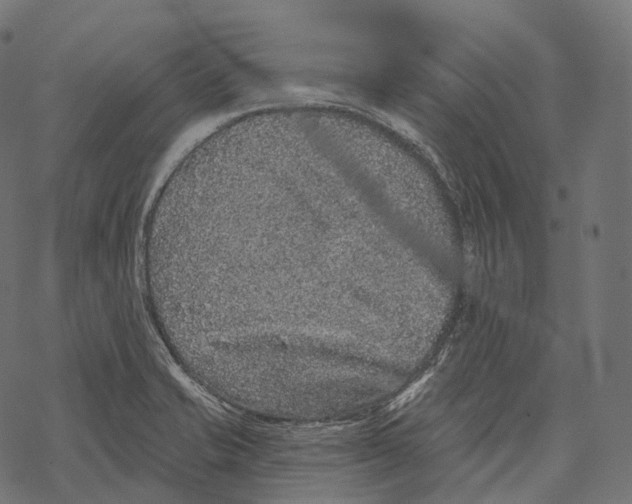 X0000067901421200605041606