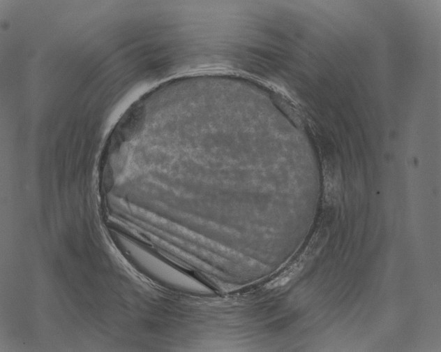 X0000067901422200605041606