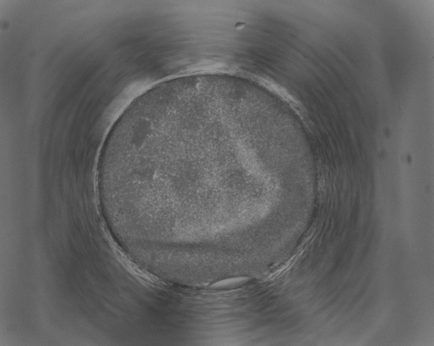 X0000067901423200605041606