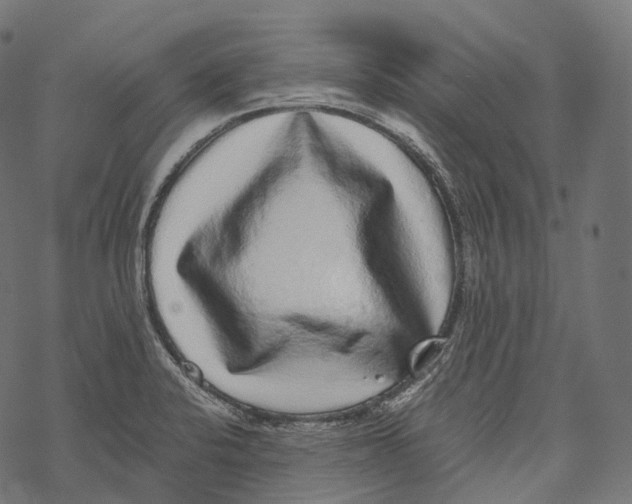 X0000067901424200605041606