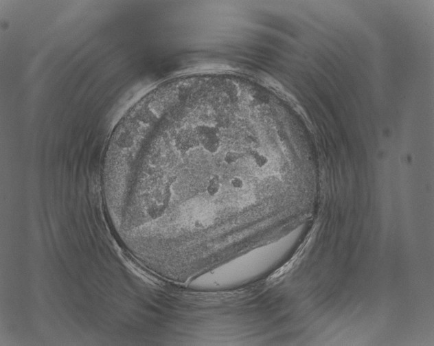 X0000067901425200605041606