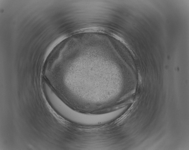 X0000067901426200605041606