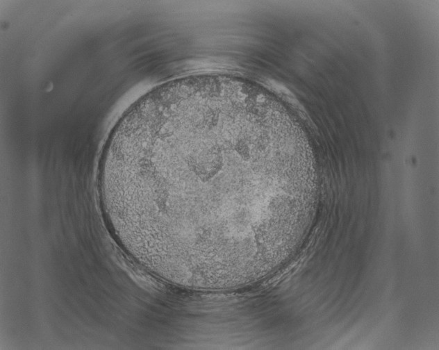 X0000067901427200605041606