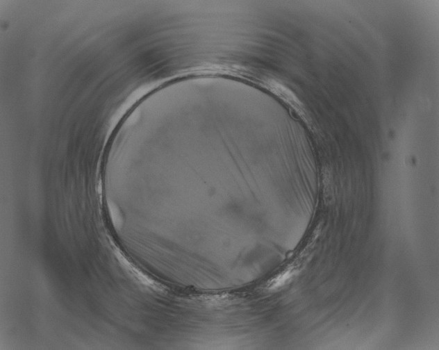 X0000067901428200605041606