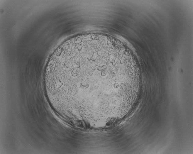 X0000067901429200605041606