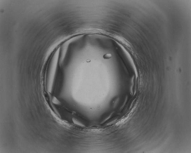 X0000067901430200605041606