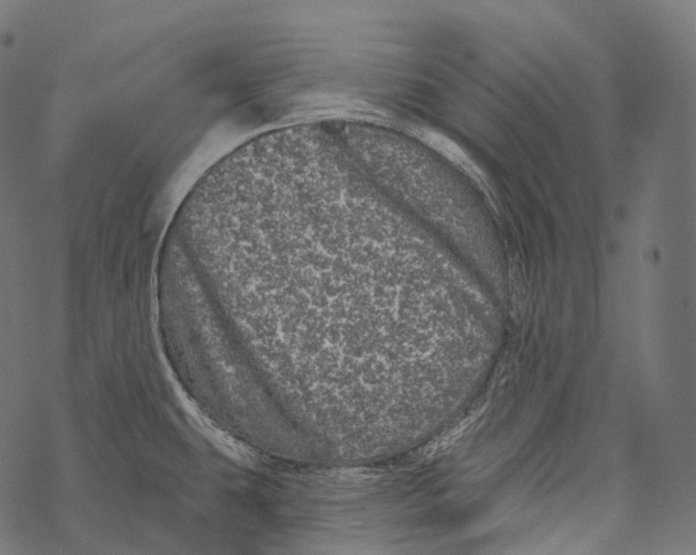 X0000067901431200605041606