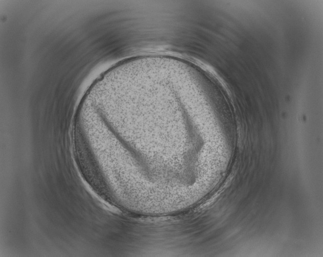 X0000067901432200605041606