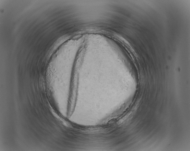 X0000067901433200605041606