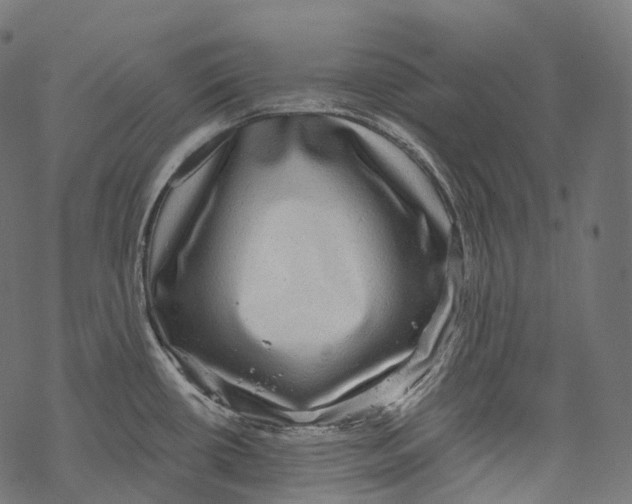 X0000067901434200605041606