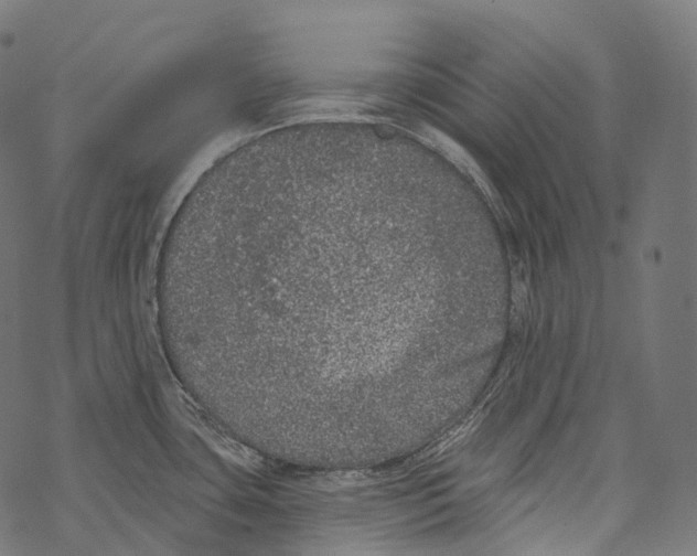 X0000067901435200605041606