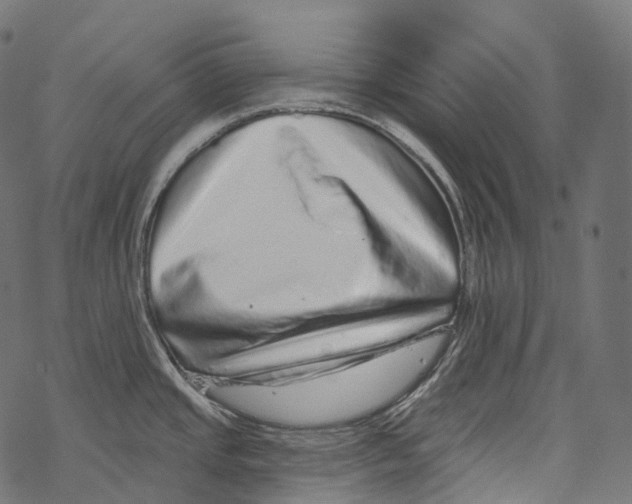 X0000067901437200605041606