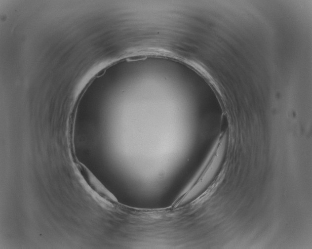 X0000067901438200605041606