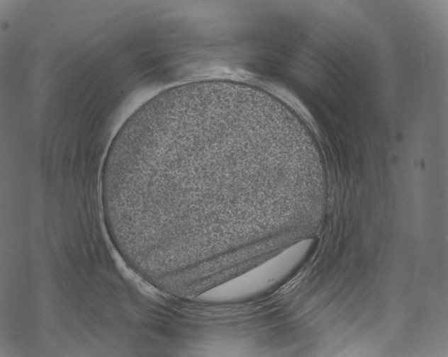 X0000067901439200605041606