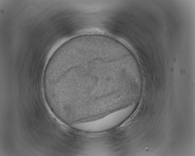 X0000067901440200605041606