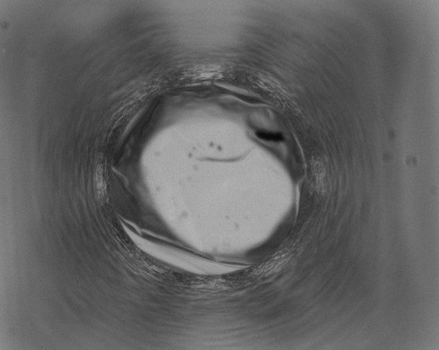 X0000067901442200605041606