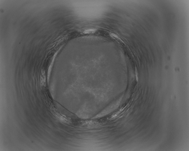 X0000067901443200605041606