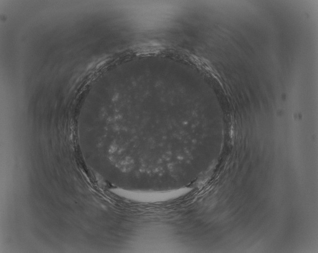 X0000067901445200605041606