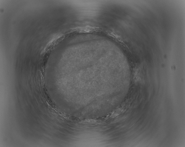 X0000067901446200605041606