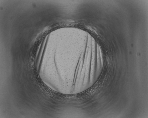 X0000067901447200605041606