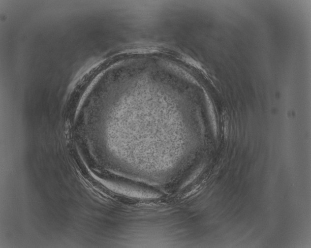 X0000067901448200605041606