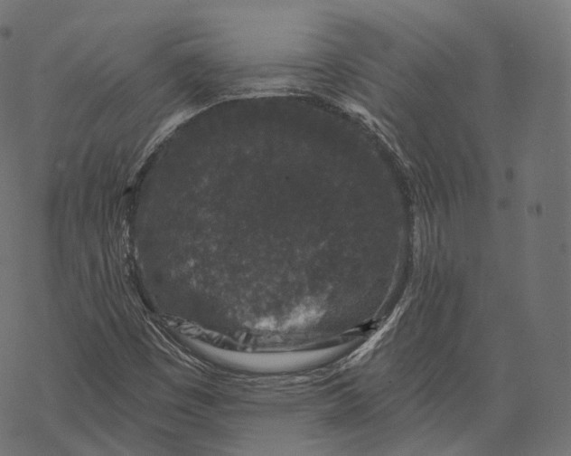 X0000067901449200605041605