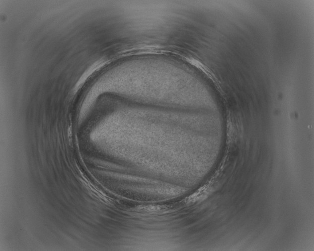 X0000067901450200605041605