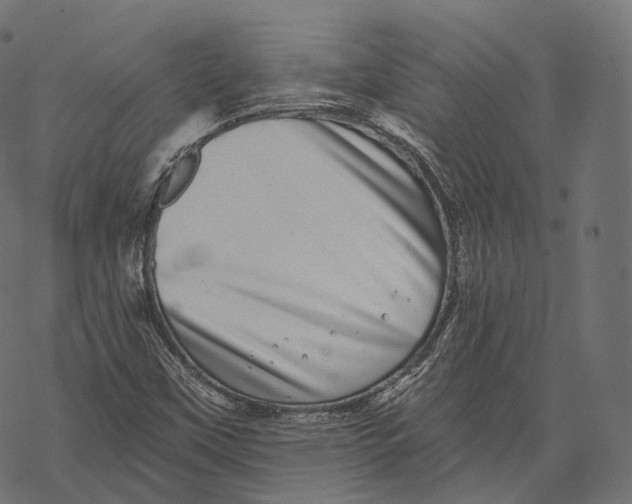 X0000067901451200605041605