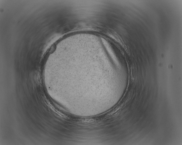 X0000067901452200605041605