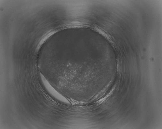 X0000067901453200605041605