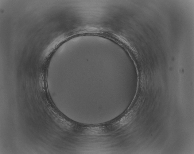 X0000067901455200605041605