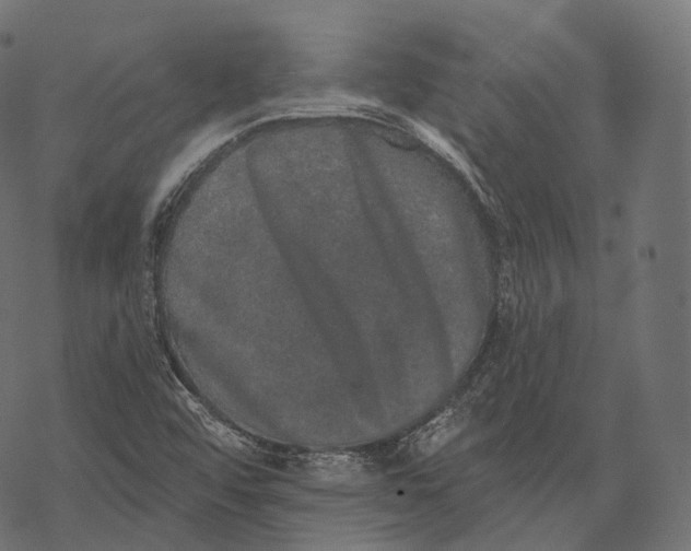 X0000067901456200605041605