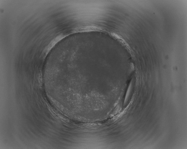 X0000067901457200605041605