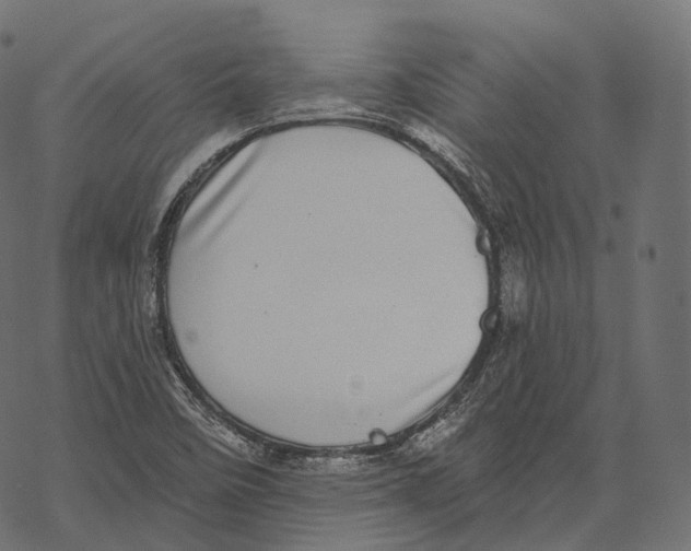 X0000067901458200605041605