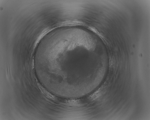 X0000067901459200605041605