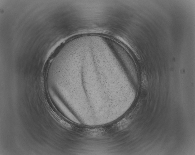 X0000067901460200605041605