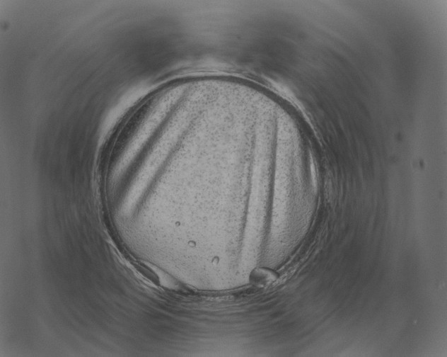 X0000067901464200605041605