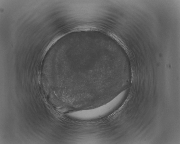 X0000067901465200605041605