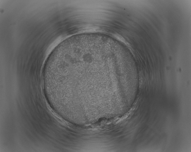 X0000067901467200605041605