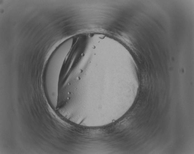 X0000067901468200605041605