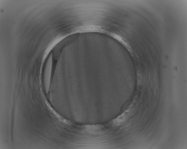 X0000067901469200605041605