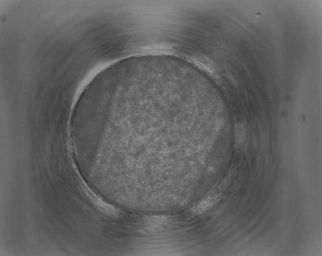 X0000067901470200605041605